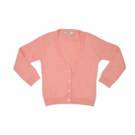 Bluza